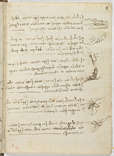 Vogelvluchtcode, c. 1505-06, blad 8 recto door Leonardo da Vinci